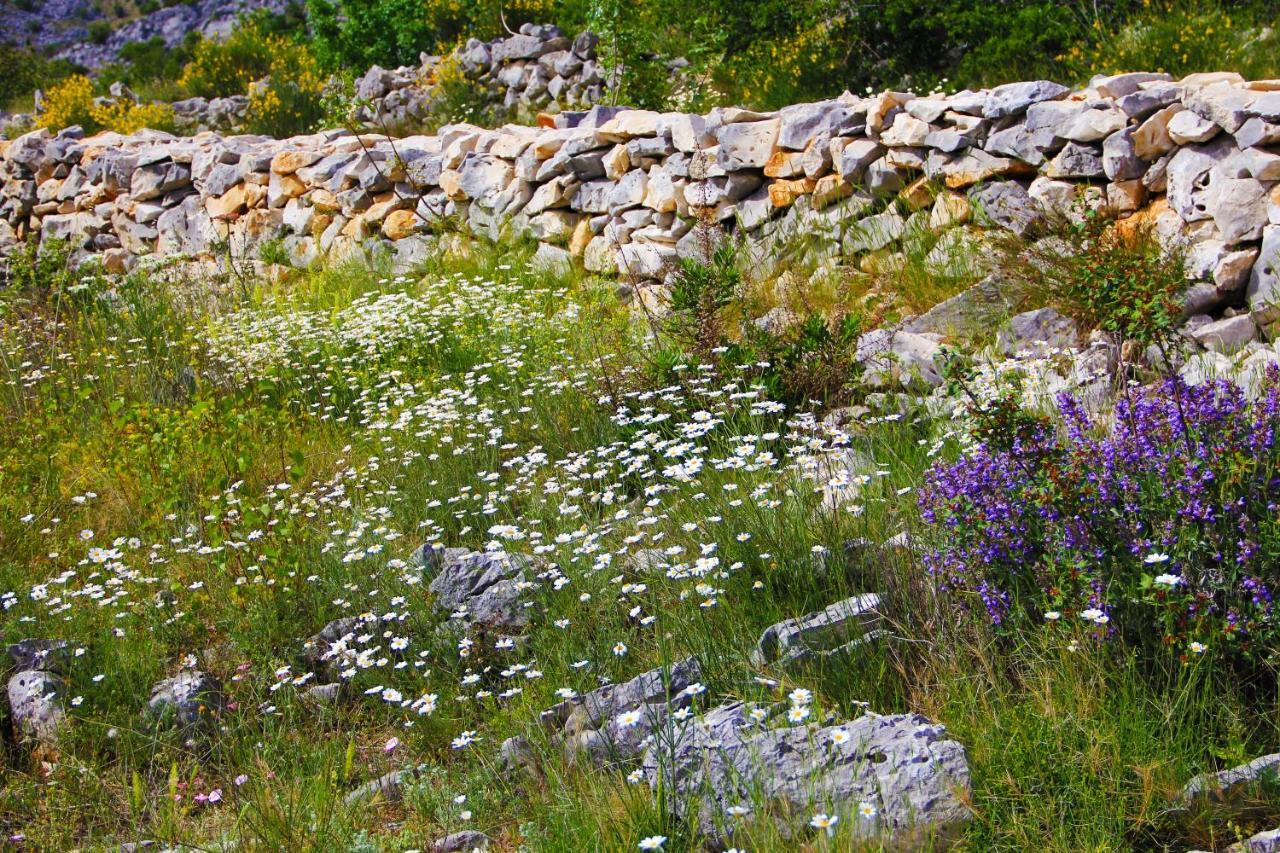 Villa Zlatno Sunce In The Hills Near Trogir Vrsine Экстерьер фото
