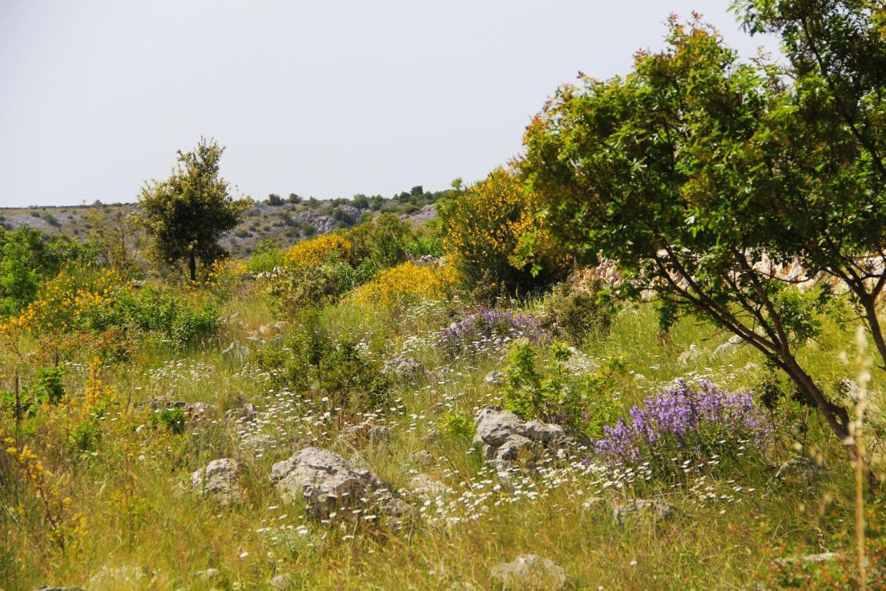 Villa Zlatno Sunce In The Hills Near Trogir Vrsine Экстерьер фото